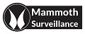 Mammoth Surveillance Camera Systems Norwalk